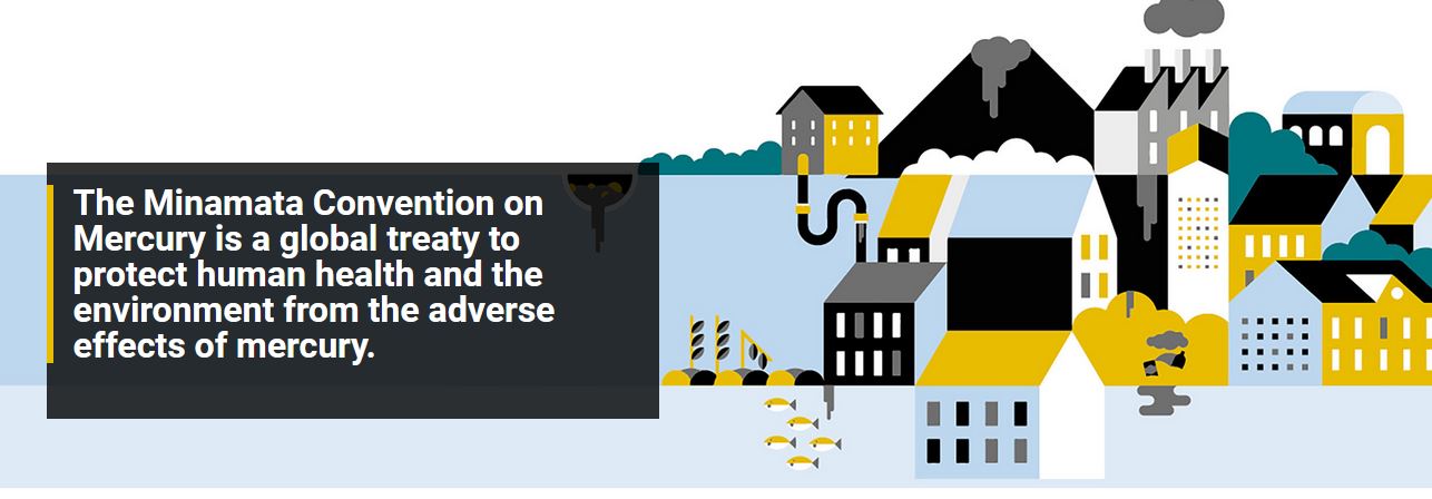 the minamata convention