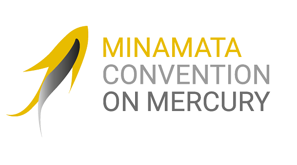 The Minamata Convention